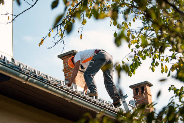 Best Roof Gutter Cleaning  in Brown Station, MD
