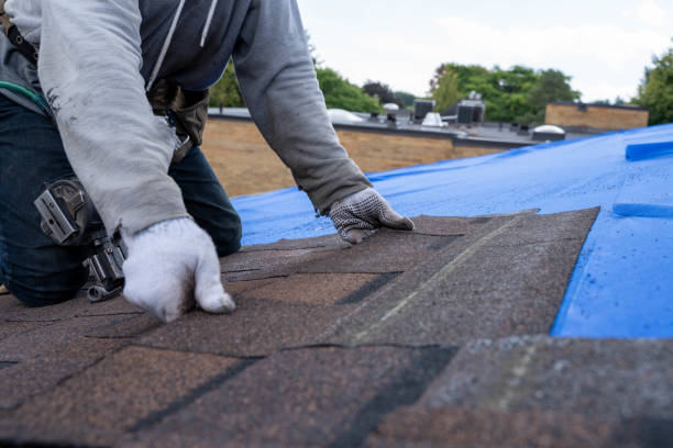 Best Roof Maintenance Services  in Brown Station, MD
