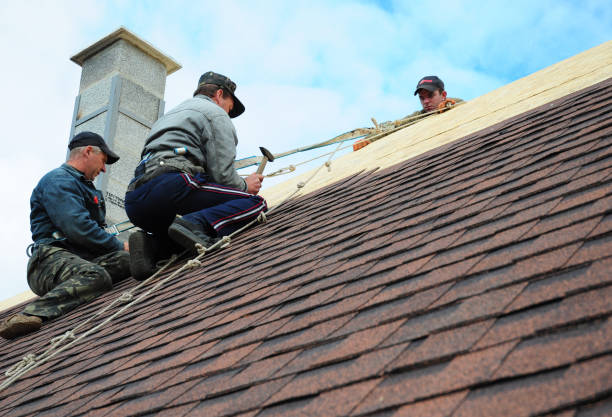 Best Storm Damage Roof Repair  in Brown Station, MD