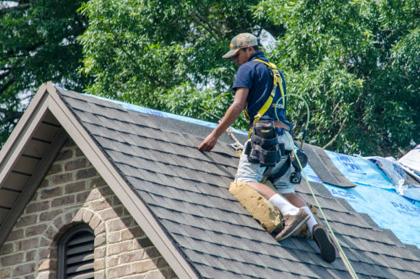 Best Local Roofing Companies  in Brown Station, MD