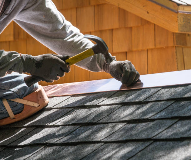 Roof Gutter Cleaning in Brown Station, MD